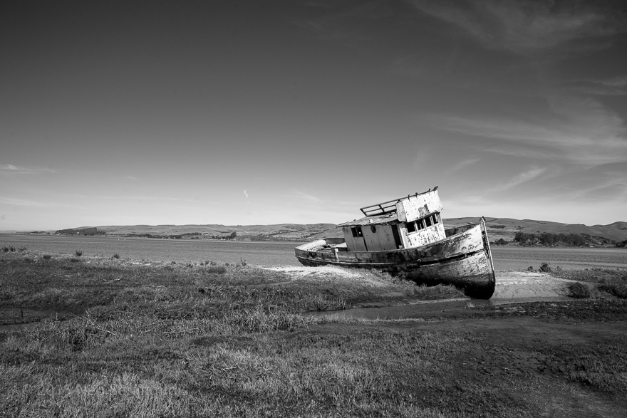 The Point Reyes – Neo Serafimidis